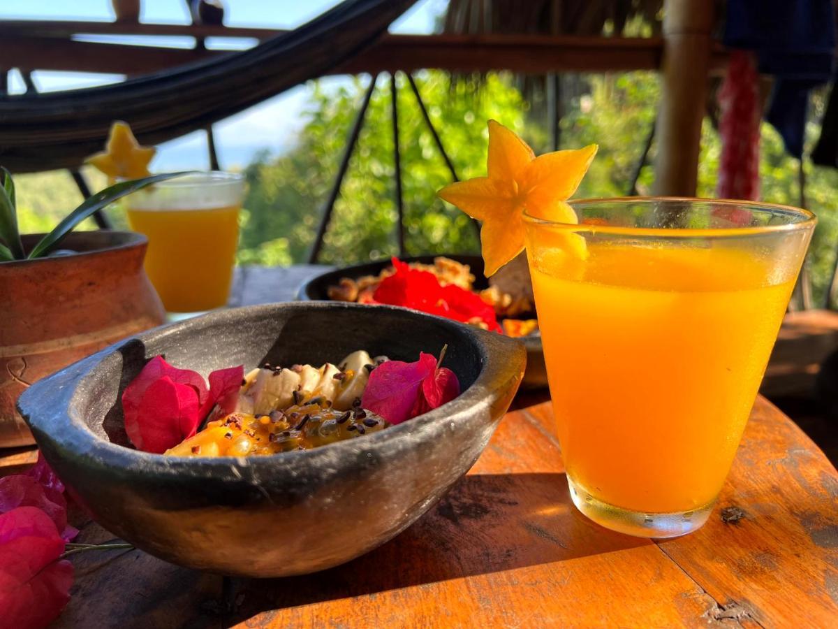 Finca La Selvita Chocolate Experience Buritaca Kültér fotó