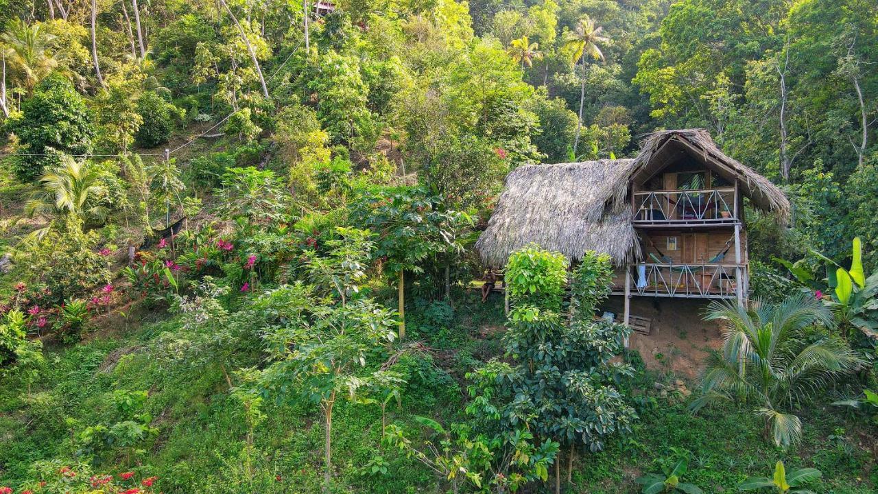 Finca La Selvita Chocolate Experience Buritaca Kültér fotó