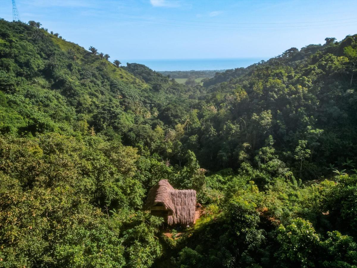 Finca La Selvita Chocolate Experience Buritaca Kültér fotó