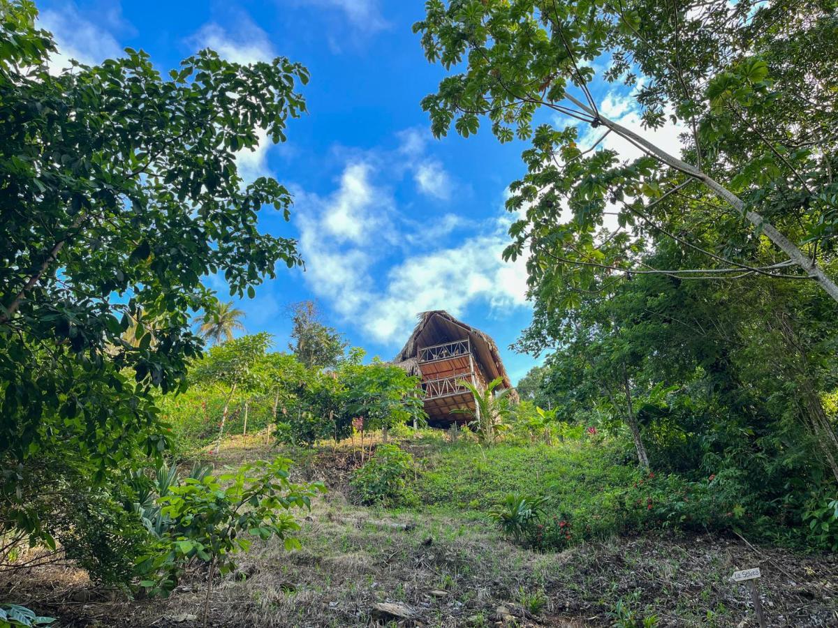 Finca La Selvita Chocolate Experience Buritaca Kültér fotó