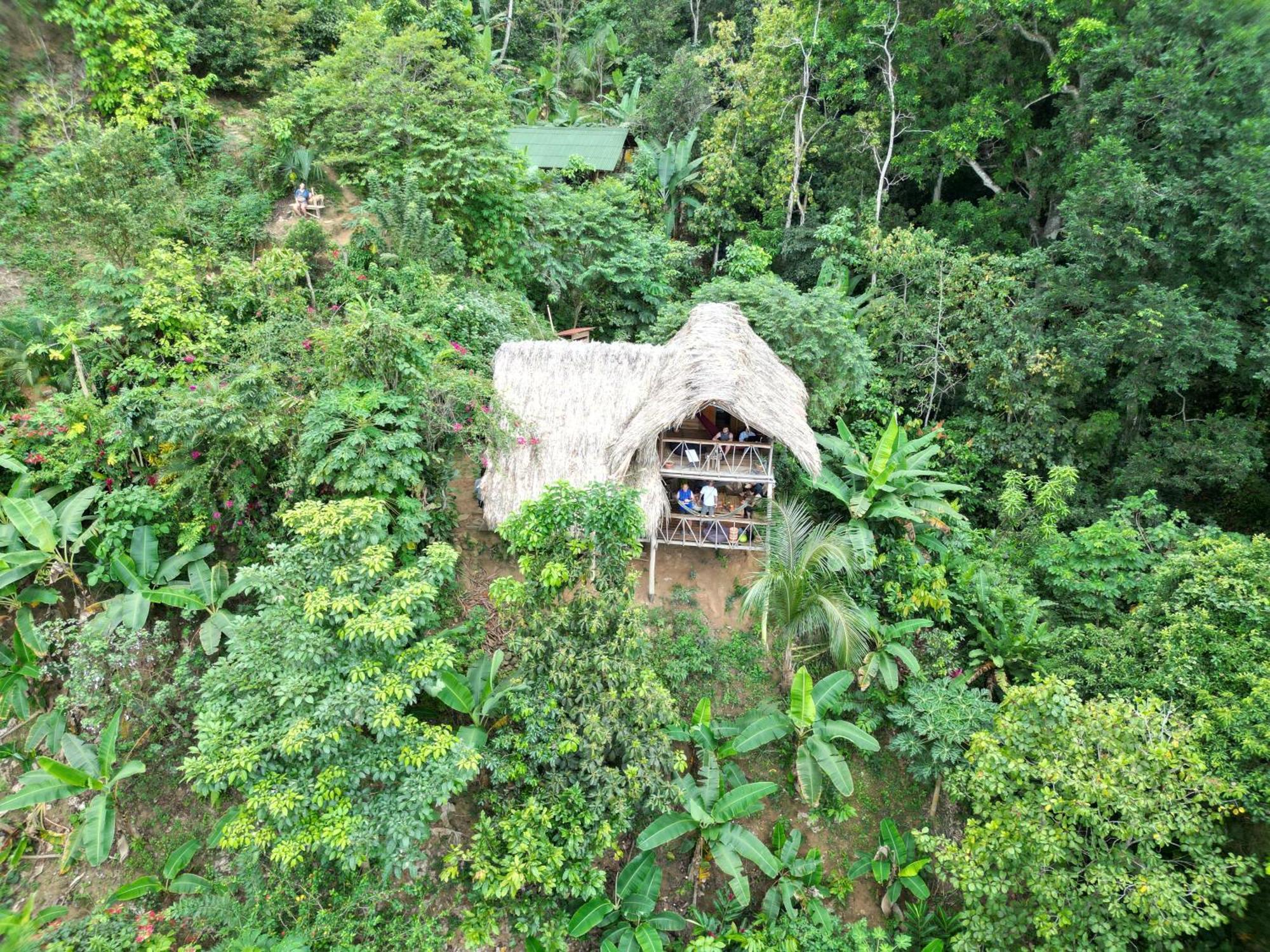 Finca La Selvita Chocolate Experience Buritaca Kültér fotó