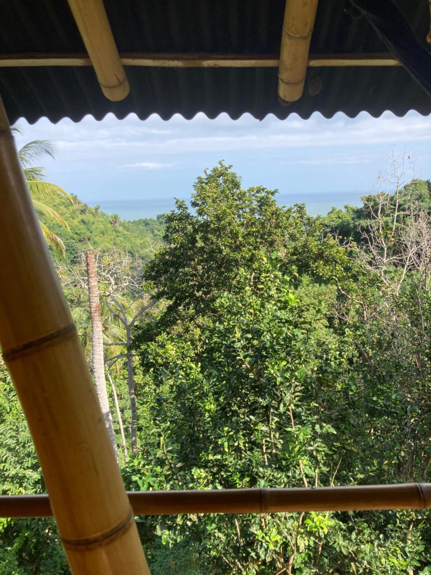 Finca La Selvita Chocolate Experience Buritaca Kültér fotó