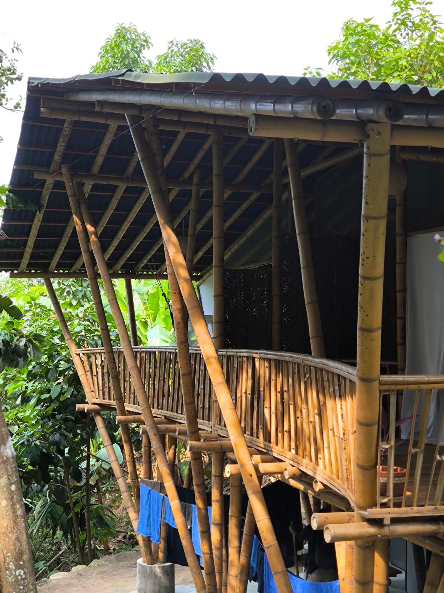 Finca La Selvita Chocolate Experience Buritaca Kültér fotó