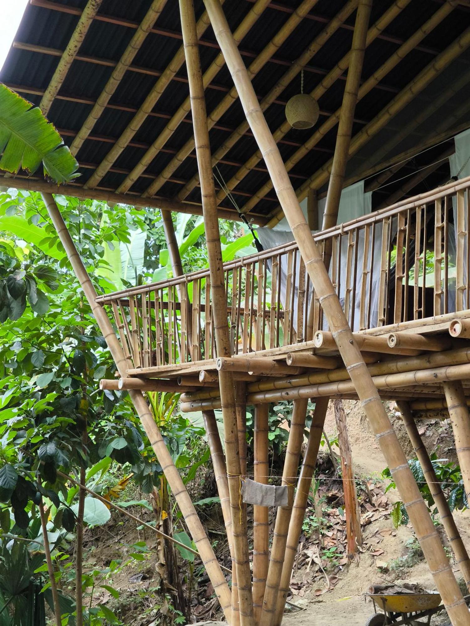 Finca La Selvita Chocolate Experience Buritaca Kültér fotó