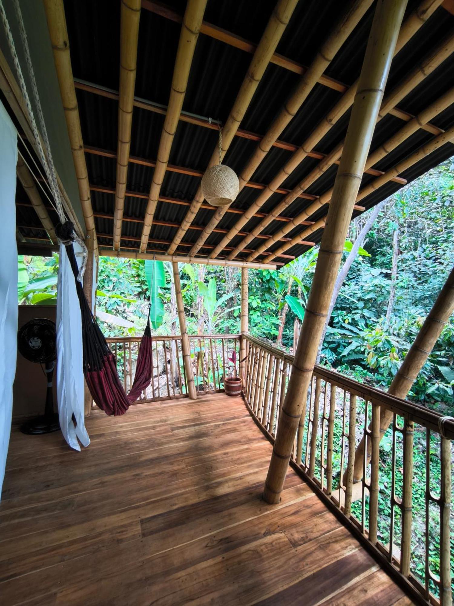 Finca La Selvita Chocolate Experience Buritaca Szoba fotó