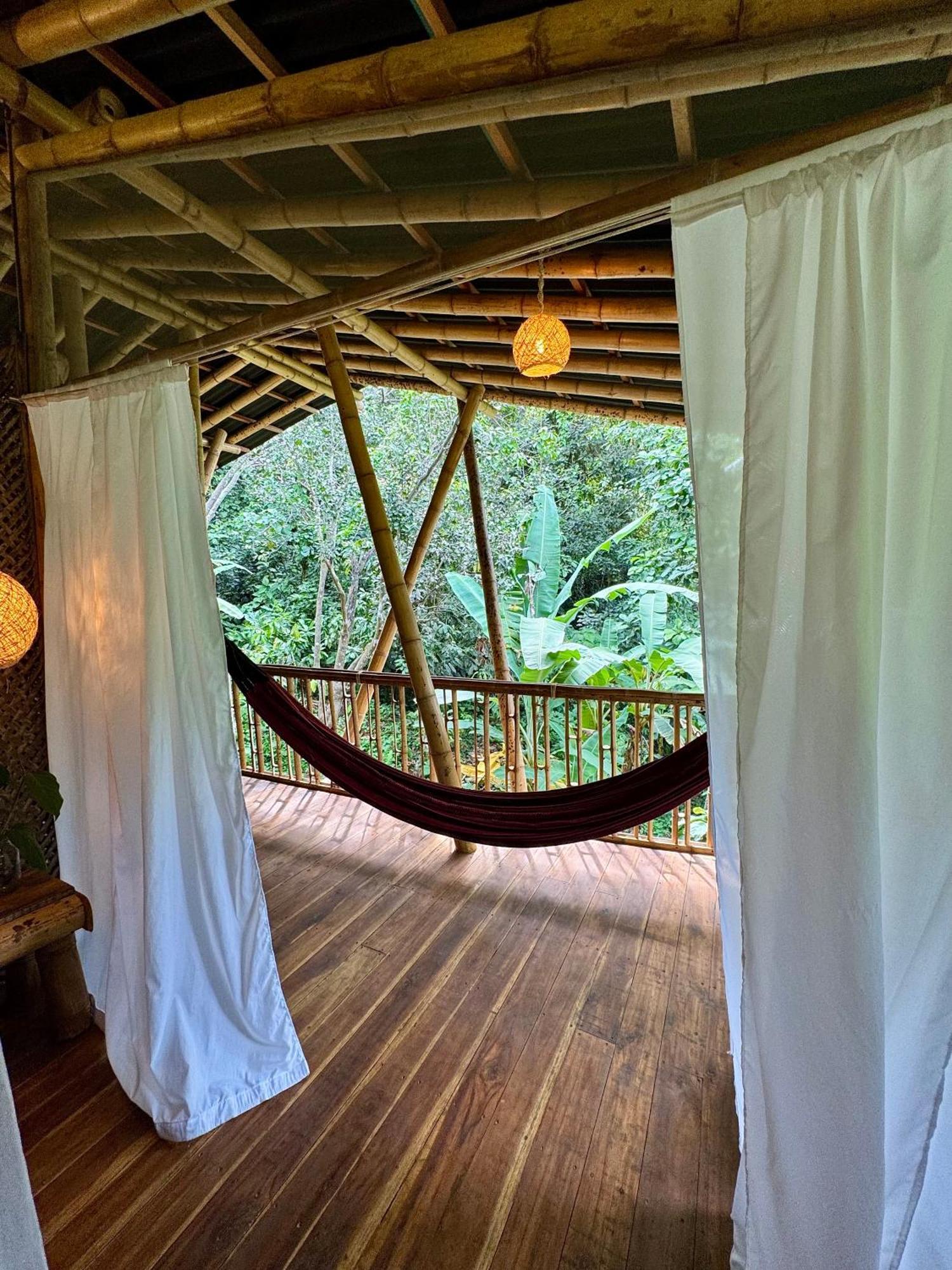 Finca La Selvita Chocolate Experience Buritaca Kültér fotó