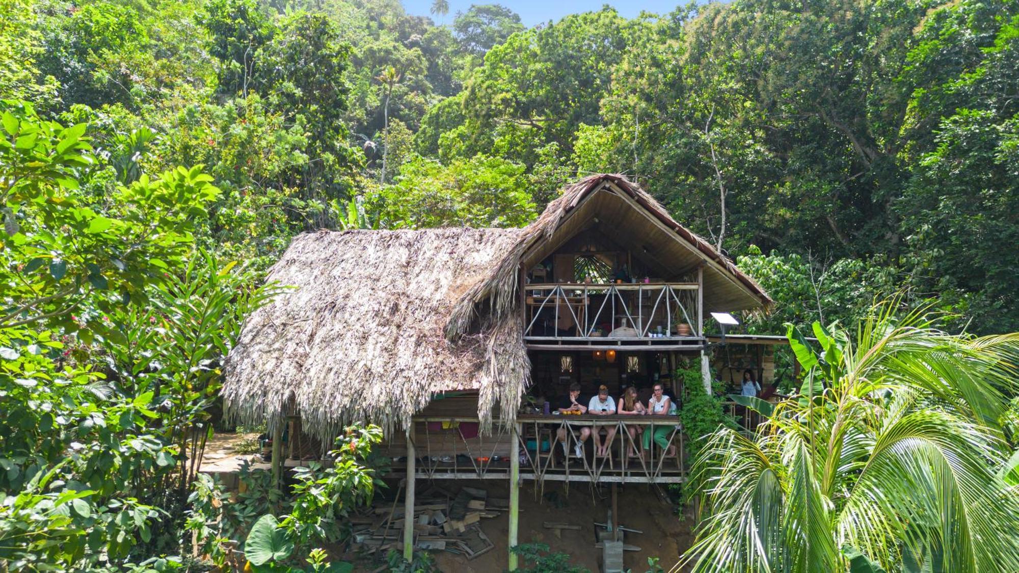 Finca La Selvita Chocolate Experience Buritaca Kültér fotó